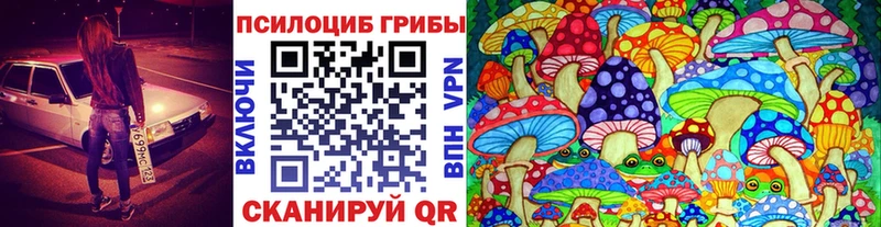 Псилоцибиновые грибы прущие грибы  Духовщина 
